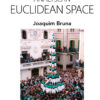 Analysis in Euclidean Space