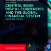 Central Bank Digital Currencies and the Global Financial System - 1st Edition