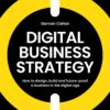 Digital Business Strategy - 1st Edition