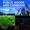 Public Goods and Commons - 1st Edition