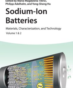 Sodium-Ion Batteries - 1st Edition