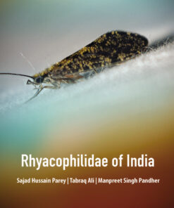 Rhyacophilidae of India - 1st Edition