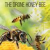 The Drone Honey Bee - 1st Edition